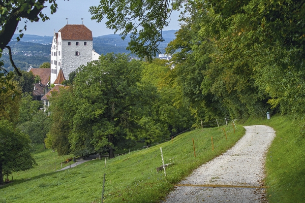 Von der Habsburg zum Schloss Wildegg