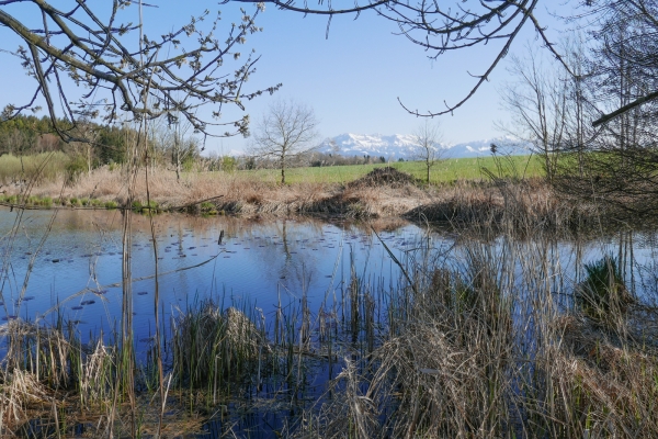 Dalla valle della Wyna al lago di Sempach