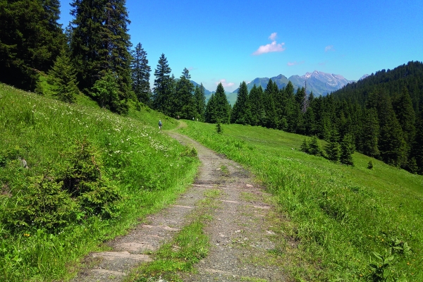 Über die Wasserscheide ins Toggenburg