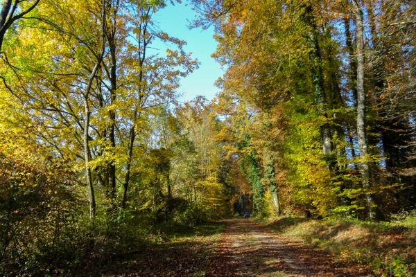 Grenzwandern in Schaffhausen