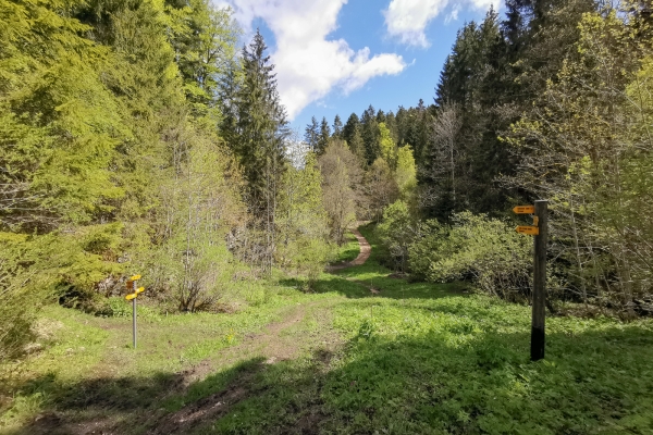 Gorge sauvage dans les Franches-Montagnes