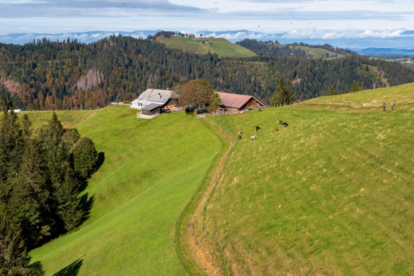 Abwechslungsreiche Herbstwanderung