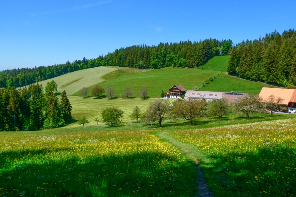 Prendre de la hauteur 