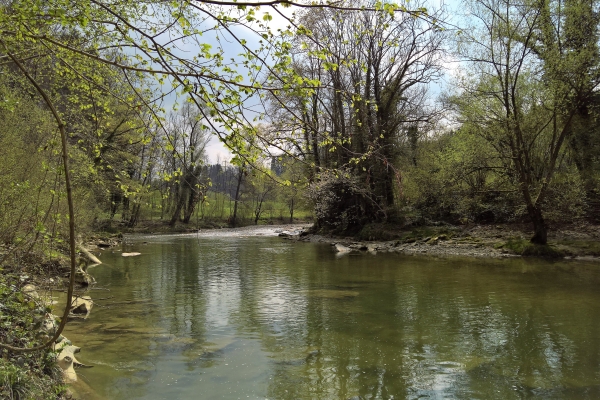 Von St. Gallen nach Bernhardzell