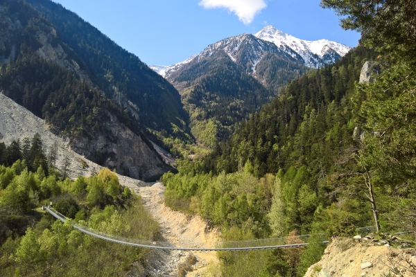 Escursione attraverso il bosco di Finges