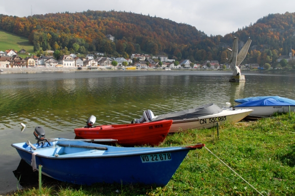 Sur les rives du lac de Joux