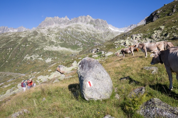 Göscheneralp par le Lochberglücke