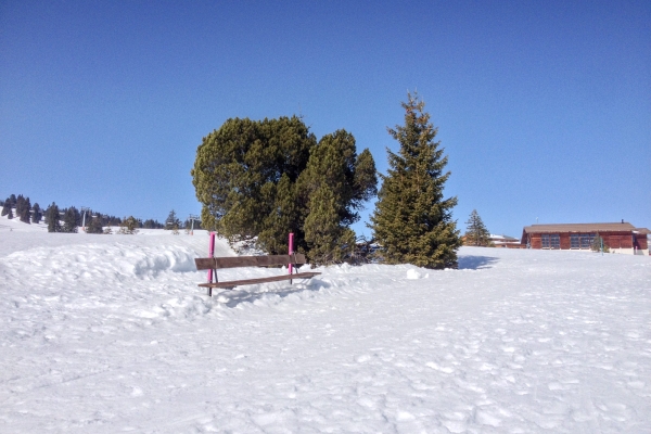 Prendere il sole di fronte al Churfirsten