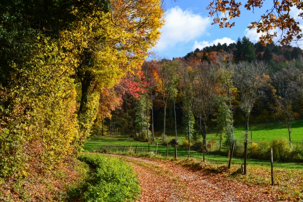 De Gimel au vignoble de La Côte