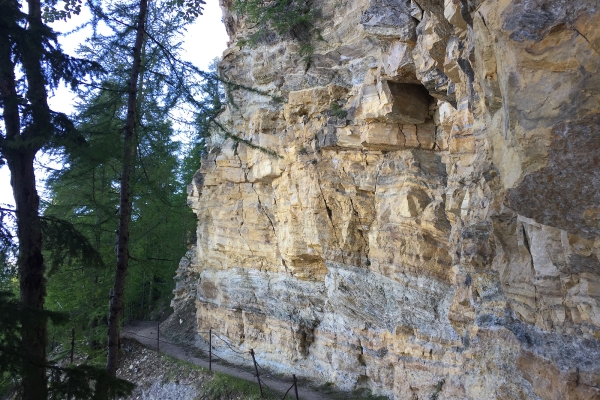 Einen Blick in den Illgraben werfen