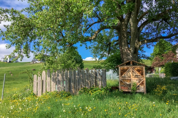 Schöne Aussichten auf dem Eggen Höhenweg