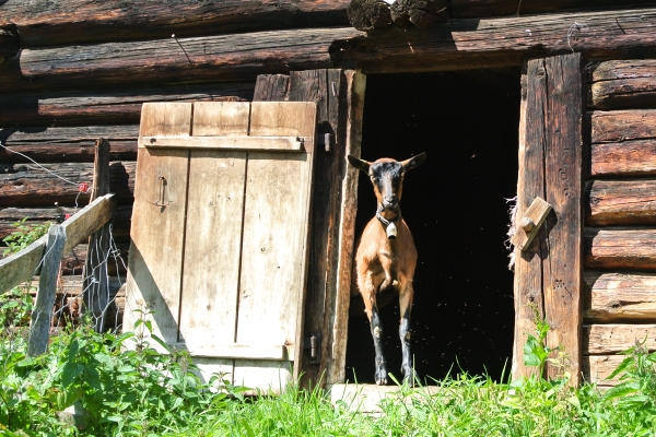 Durchs Hintere Lauterbrunnental