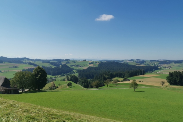 Sur les hauteurs de l’Haute-Argovie