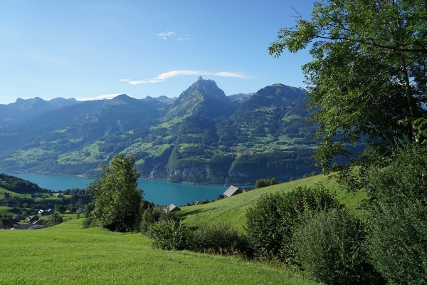 Vue sur la plaine de la Linth