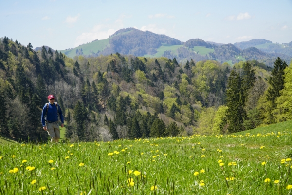 Schmetterlingstour auf der dritten Jurakette