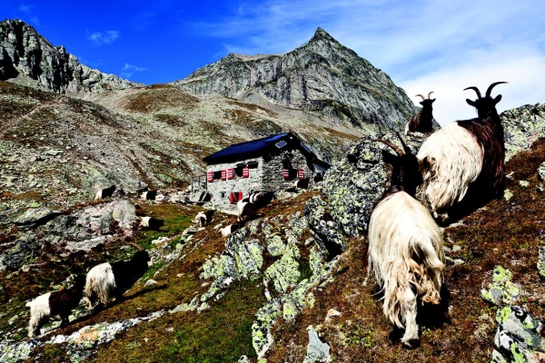 Hüttenzauber Wiwannihütte