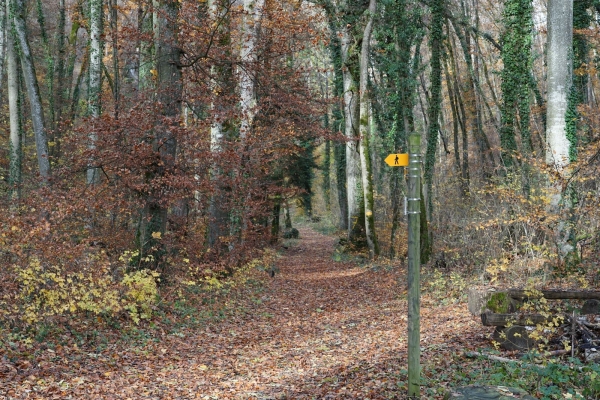 Idyllische Wanderung durchs Churz- und Langloch nach Schaffhausen