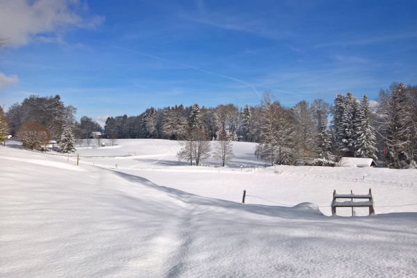 Schneeschuhtour am Mont Pèlerin