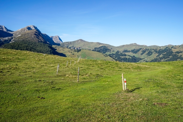 De l’alpage d’Iffig aux chutes de la Simme