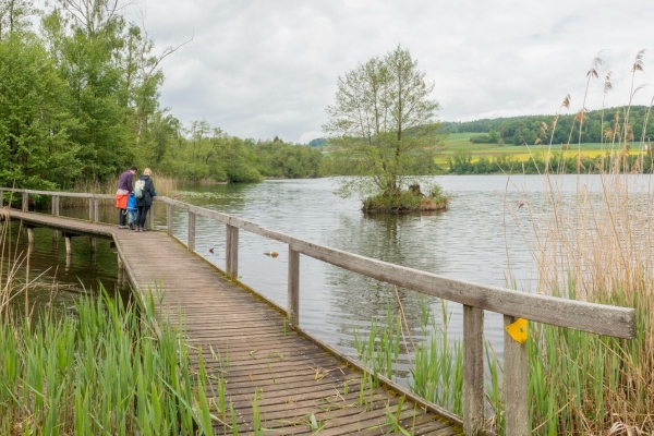 Renaturation au Seebachtal