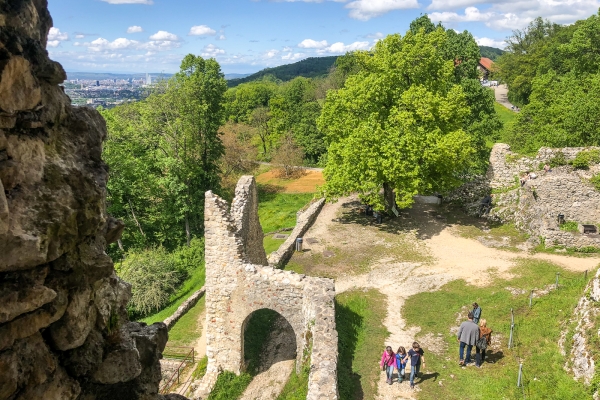 Les trois châteaux du district de Dorneck