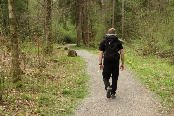 Paysage alluvial dans l’Entschligetal