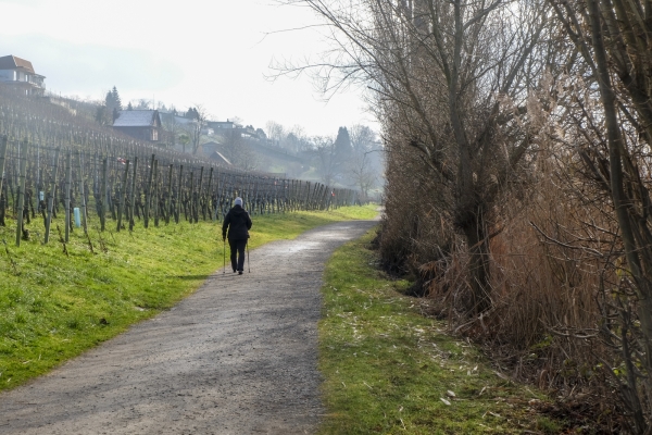 Quiétude hivernale près du lac de Hallwil