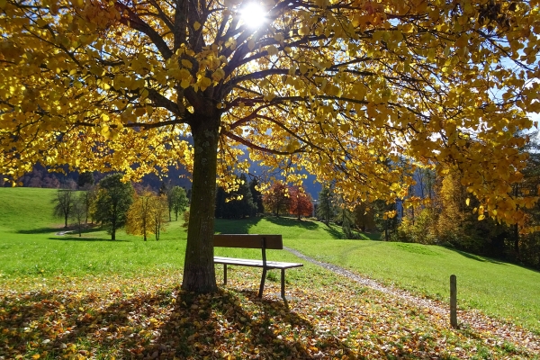 Rundwanderung mit Seeblick bei Flüeli-Ranft