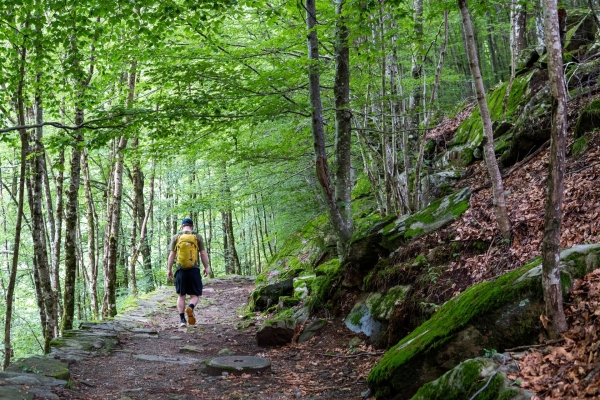 Auf einsamen Pfaden im grünen Valle di Vergeletto