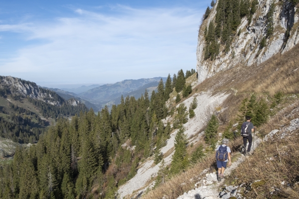 Dans les Préalpes fribourgeoises