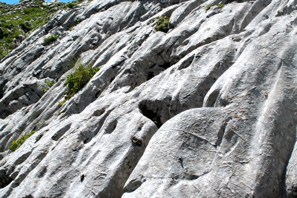 Les lapiaz de Pierra Perchia