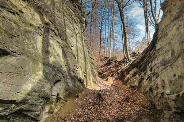 Vom Bauerndorf in die Emmenstadt