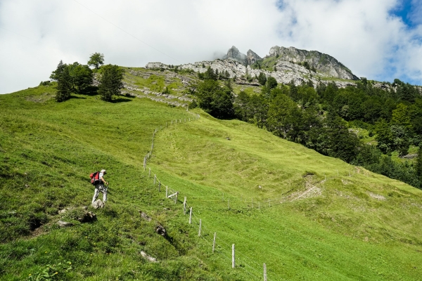 Entre les vallées de Bisistal et de Muotatal