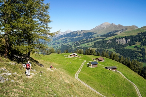 De l’alpage d’Iffig aux chutes de la Simme