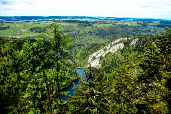 Entre forêts et pâturages