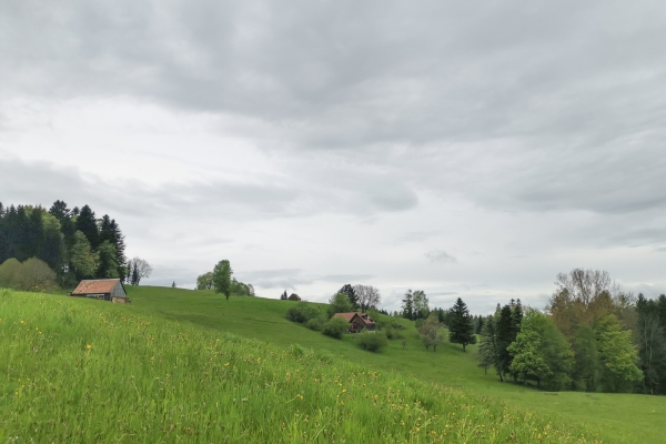 Entraînement dans l’avant-pays appenzellois 