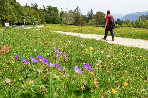 Kraftspender im Berner Jura