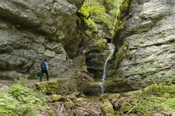 Dem Absinth auf der Spur im Val de Travers