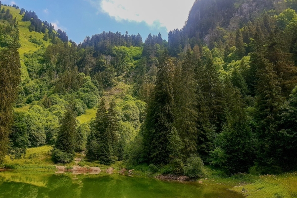 Sommets méconnus en Gruyère