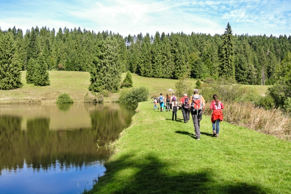 Etangs et pâturages des Franches-Montagnes