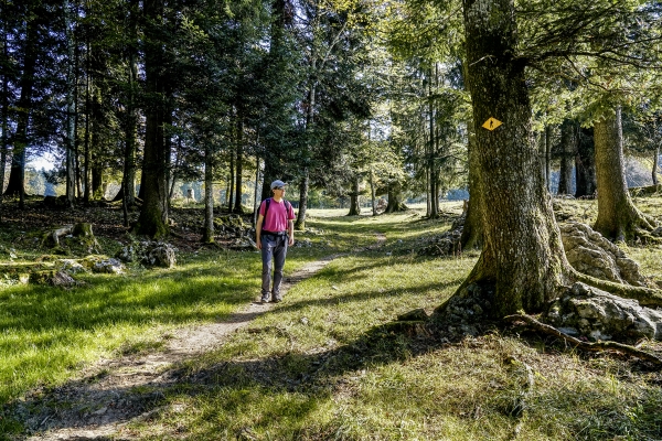 Le Jura entre Sonvilier et Le Noirmont