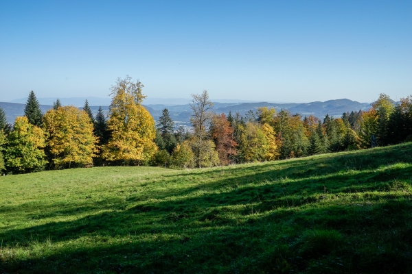 Le Welschgätterli, région jura soleurois