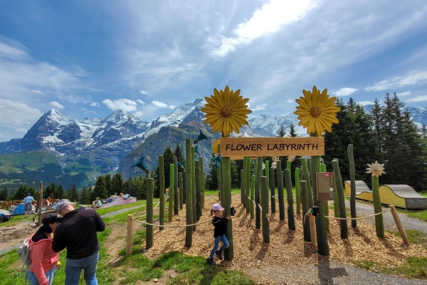 Mountain View Trail