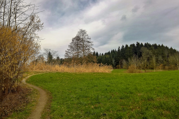 Die Alpen zum Greifen nah LU