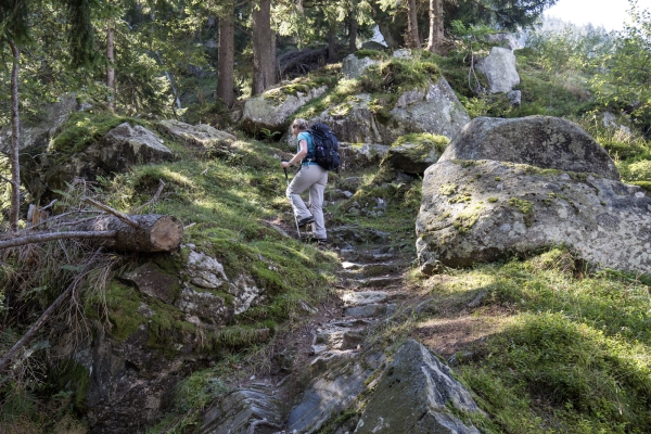 Bei der Königin der Alpen