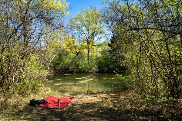 Ein Tag an der Alten Aare