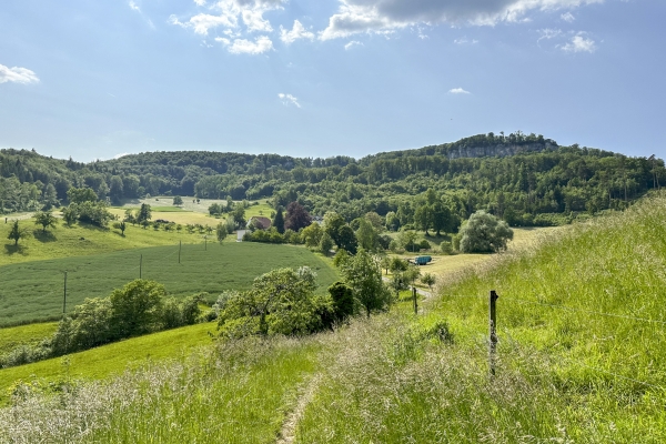 De château en château aux portes de Bâle