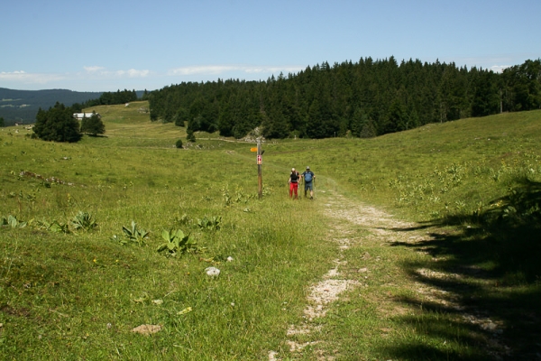 Vom Lac de Joux auf die Dent de Vaulion