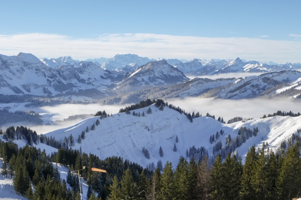 Appenzeller Panorama vom Kronberg