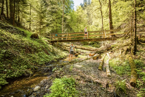 Feld, Wald und Wiese im Entlebuch